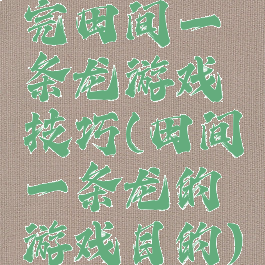 完田间一条龙游戏技巧(田间一条龙的游戏目的)