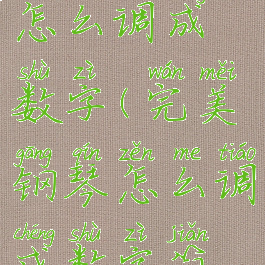 完美钢琴怎么调成数字(完美钢琴怎么调成数字简谱)