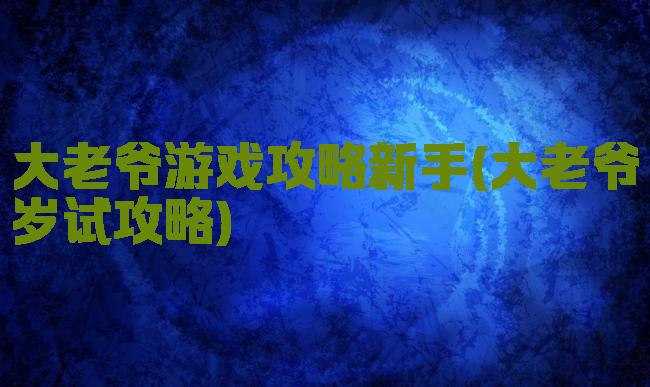 大老爷游戏攻略新手(大老爷岁试攻略)