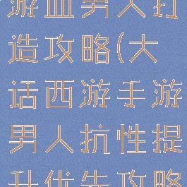 大话西游手游血男人打造攻略(大话西游手游男人抗性提升优先攻略)