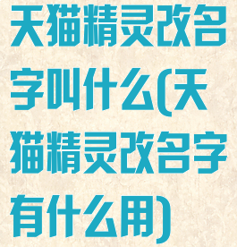 天猫精灵改名字叫什么(天猫精灵改名字有什么用)