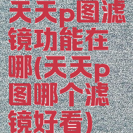 天天p图滤镜功能在哪(天天p图哪个滤镜好看)