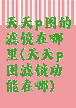 天天p图的滤镜在哪里(天天p图滤镜功能在哪)