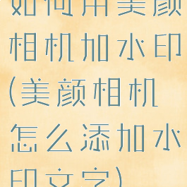 如何用美颜相机加水印(美颜相机怎么添加水印文字)