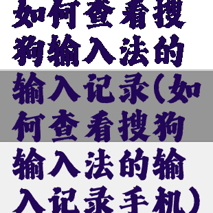 如何查看搜狗输入法的输入记录(如何查看搜狗输入法的输入记录手机)