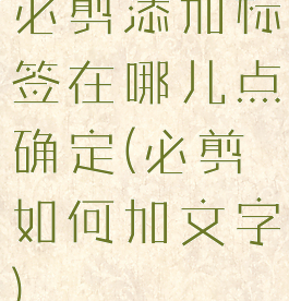 必剪添加标签在哪儿点确定(必剪如何加文字)