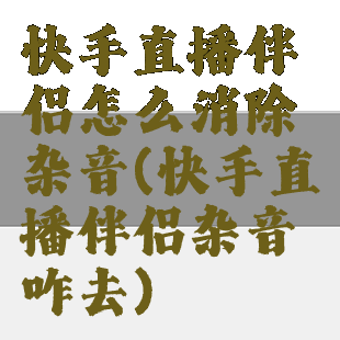 快手直播伴侣怎么消除杂音(快手直播伴侣杂音咋去)