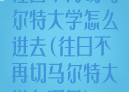 往日不再切马尔特大学怎么进去(往日不再切马尔特大学在哪里)