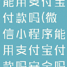 微信小程序能用支付宝付款吗(微信小程序能用支付宝付款吗安全吗)