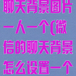 微信怎么设置聊天背景图片一人一个(微信的聊天背景怎么设置一个人)