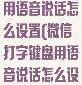 微信打字键盘用语音说话怎么设置(微信打字键盘用语音说话怎么设置出来)