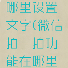 微信拍一拍功能在哪里设置文字(微信拍一拍功能在哪里设置文字字数)