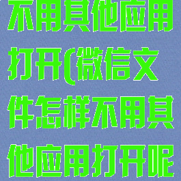 微信文件怎样不用其他应用打开(微信文件怎样不用其他应用打开呢)