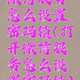 微信服务怎么设置密码锁(打开微信服务怎么设置密码锁)