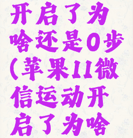 微信运动开启了为啥还是0步(苹果11微信运动开启了为啥还是0步)