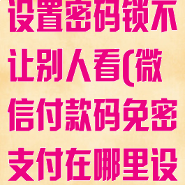 微信钱包怎么设置密码锁不让别人看(微信付款码免密支付在哪里设置)