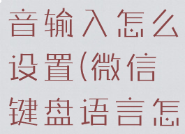 微信键盘语音输入怎么设置(微信键盘语言怎么设置)