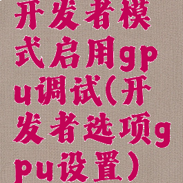 开发者模式启用gpu调试(开发者选项gpu设置)