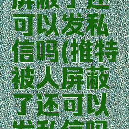 推特被人屏蔽了还可以发私信吗(推特被人屏蔽了还可以发私信吗安全吗)