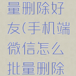 手机端微信怎么批量删除好友(手机端微信怎么批量删除好友聊天记录)