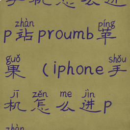 手机怎么进p站proumb苹果(iphone手机怎么进p站)