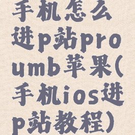 手机怎么进p站proumb苹果(手机ios进p站教程)