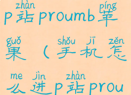 手机怎么进p站proumb苹果(手机怎么进p站proumbiphone)