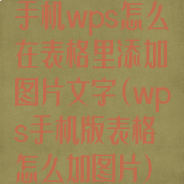 手机wps怎么在表格里添加图片文字(wps手机版表格怎么加图片)