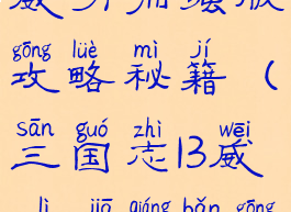 手游三国志威力加强版攻略秘籍(三国志13威力加强版攻略秘籍)