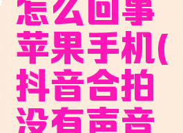 抖音合拍没有声音怎么回事苹果手机(抖音合拍没有声音怎么回事苹果手机)