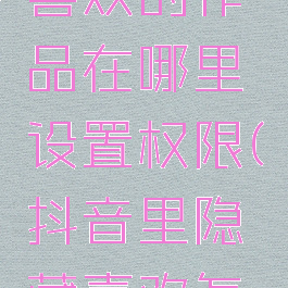 抖音隐藏喜欢的作品在哪里设置权限(抖音里隐藏喜欢怎么设置)