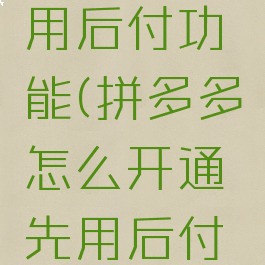 拼多多怎么开通先用后付功能(拼多多怎么开通先用后付功能为什么用不了)