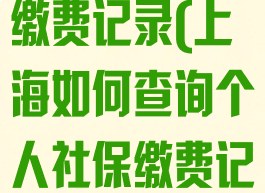 查询个人社保缴费记录(上海如何查询个人社保缴费记录)