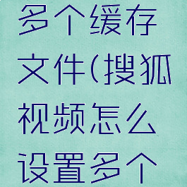 搜狐视频怎么设置多个缓存文件(搜狐视频怎么设置多个缓存文件夹)