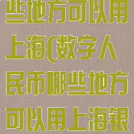 数字人民币哪些地方可以用上海(数字人民币哪些地方可以用上海银行卡)