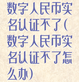 数字人民币实名认证不了(数字人民币实名认证不了怎么办)