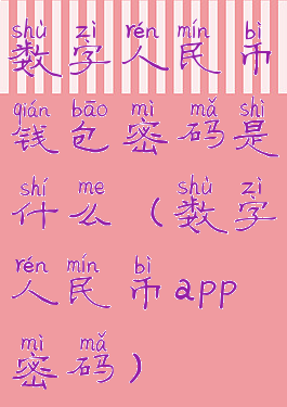 数字人民币钱包密码是什么(数字人民币app密码)