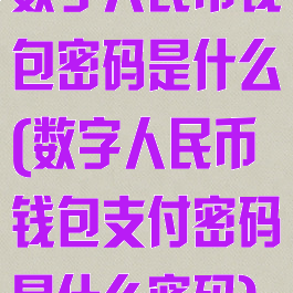 数字人民币钱包密码是什么(数字人民币钱包支付密码是什么密码)