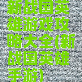 新战国英雄游戏攻略大全(新战国英雄手游)