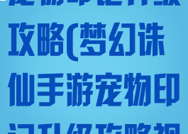 梦幻诛仙手游宠物印记升级攻略(梦幻诛仙手游宠物印记升级攻略视频)