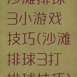 沙滩排球3小游戏技巧(沙滩排球3打排球技巧)