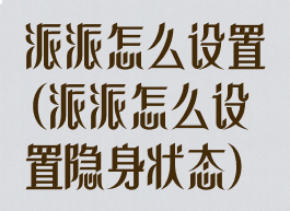 派派怎么设置(派派怎么设置隐身状态)