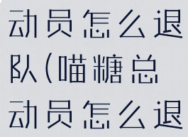 淘宝喵糖总动员怎么退队(喵糖总动员怎么退出比赛)