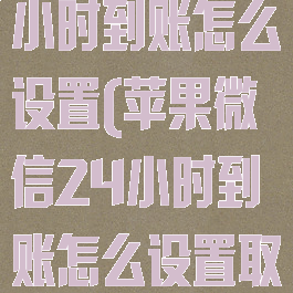 苹果微信24小时到账怎么设置(苹果微信24小时到账怎么设置取消服务)