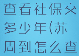 苏周到怎么查看社保交多少年(苏周到怎么查行程轨迹)