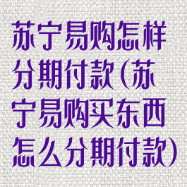 苏宁易购怎样分期付款(苏宁易购买东西怎么分期付款)