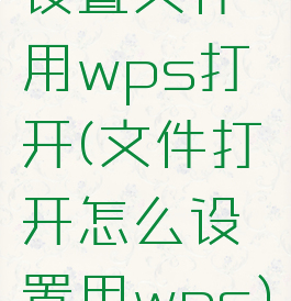 设置文件用wps打开(文件打开怎么设置用wps)