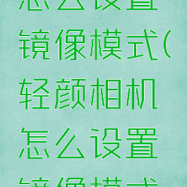 轻颜相机怎么设置镜像模式(轻颜相机怎么设置镜像模式视频)