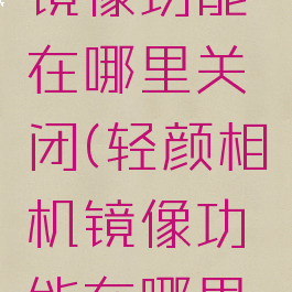 轻颜相机镜像功能在哪里关闭(轻颜相机镜像功能在哪里关闭设置)