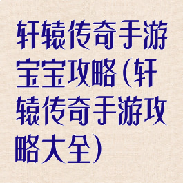 轩辕传奇手游宝宝攻略(轩辕传奇手游攻略大全)